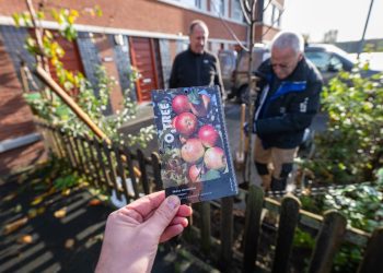 Den Haag deelt weer gratis bomen uit!